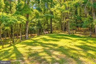 159 Winding Way, Albrightsville, PA 18210 - Photo 69