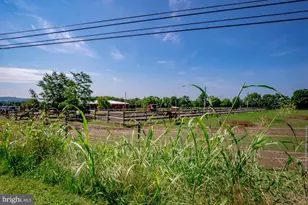 5727 Youngs Hill Rd, Easton, PA 18040 - Photo 83