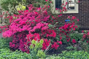 1808 Sycamore St, Bethlehem, PA 18017 - Photo 47