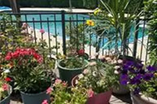 591 Rockbridge Rd, Nazareth, PA 18064 - Photo 67