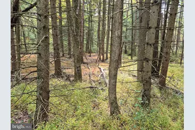 Millheim Road, Bath, PA 18014 - Photo 3