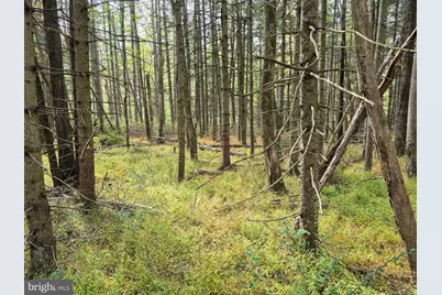 Millheim Road, Bath, PA 18014 - Photo 5