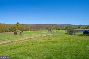 3670 N Dogwood Rd, Danielsville, PA 18038 - Photo 27