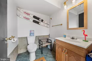 541 Mountain View Rd, Nazareth, PA 18064 - Photo 41