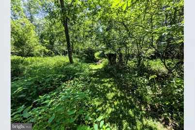 524 Walnut Drive, Northampton, PA 18067 - Photo 39