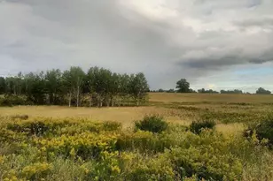 0 Old State Rd, Turbotville, PA 17772 - Photo 11