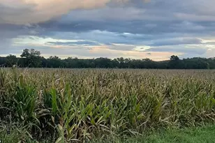 0 Old State Rd, Turbotville, PA 17772 - Photo 7