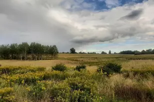 0 Old State Rd, Turbotville, PA 17772 - Photo 5