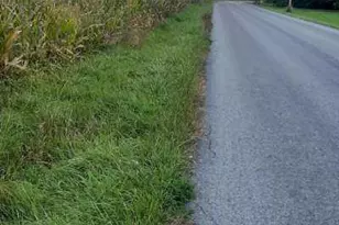 0 Old State Rd, Turbotville, PA 17772 - Photo 3