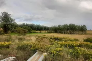 0 Old State Rd, Turbotville, PA 17772 - Photo 9