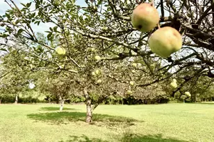 45 5th Ave, Elysburg, PA 17824 - Photo 11