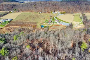 552 Mountain Rd, Dalmatia, PA 17017 - Photo 87