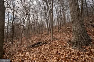 338 Culp Rd, Sunbury, PA 17801 - Photo 41