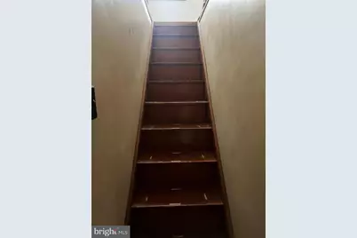 321 S Vine Street, Mount Carmel, PA 17851 - Photo 23