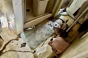 532-534 S Market St, Shamokin, PA 17872 - Photo 67