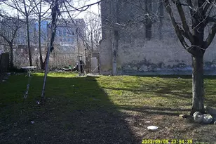 3548 Old York Rd, Philadelphia, PA 19140 - Photo 1