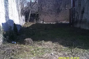 4807 N 11th St, Philadelphia, PA 19141 - Photo 3