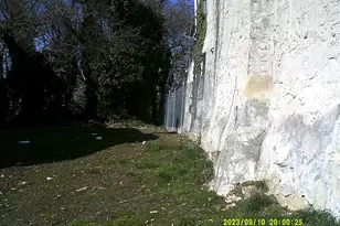 3322 N Gratz St, Philadelphia, PA 19140 - Photo 3