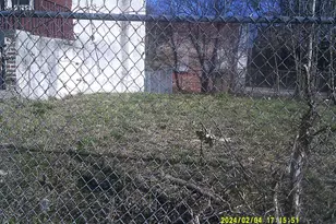 4921 N Smedley St, Philadelphia, PA 19141 - Photo 3