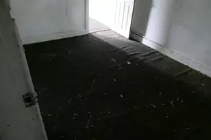 736 E Hilton St, Philadelphia, PA 19134 - Photo 9