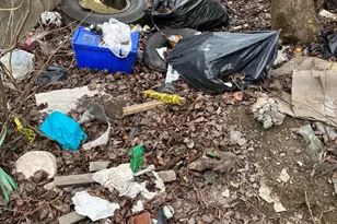 2639 Annin St, Philadelphia, PA 19146 - Photo 23