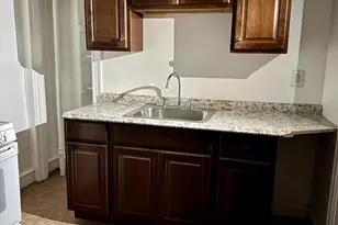 318 W Godfrey Ave, Philadelphia, PA 19120 - Photo 11