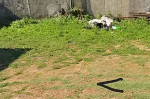 2906 W Nevada St, Philadelphia, PA 19132 - Photo 1