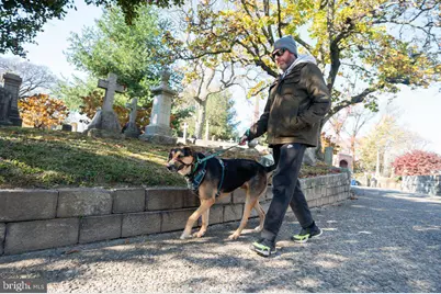 3436 W Westmoreland Street, Philadelphia, PA 19129 - Photo 61