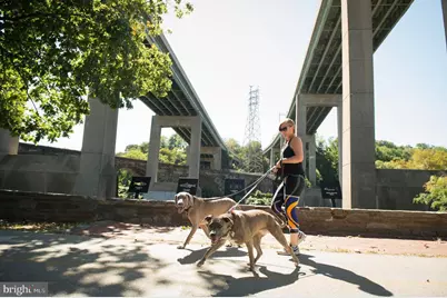 3205 N 35th Street #10, Philadelphia, PA 19129 - Photo 51