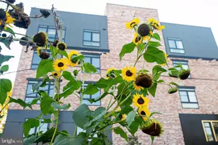 3426 W Westmoreland St, Philadelphia, PA 19129 - Photo 81