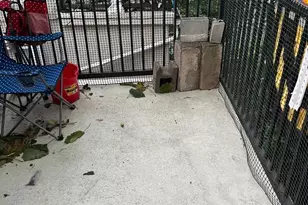 1717 N Gratz St, Philadelphia, PA 19121 - Photo 7