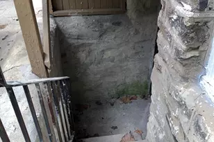 1512 W Ruscomb St, Philadelphia, PA 19141 - Photo 41