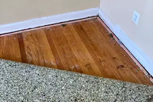 1107 E Sharpnack St, Philadelphia, PA 19150 - Photo 21