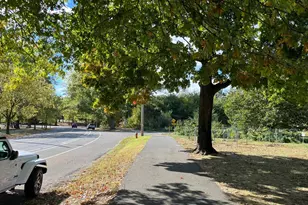 3315 W Sergeant St, Philadelphia, PA 19132 - Photo 29