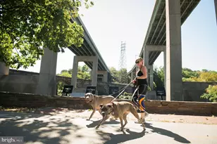 3434 W Westmoreland St, Philadelphia, PA 19129 - Photo 51