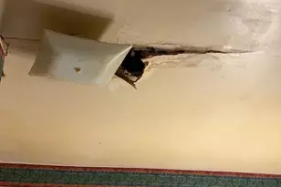 32 Pomona, Philadelphia, PA 19144 - Photo 7