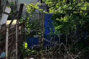 2946 Kip St, Philadelphia, PA 19134 - Photo 29