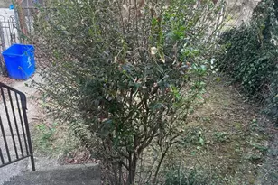 747 S Alden Street S, Philadelphia, PA 19143 - Photo 9