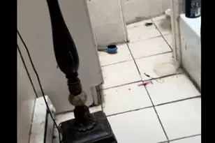 2239 S 71st St, Philadelphia, PA 19142 - Photo 9