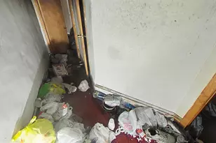 324 N Horton St, Philadelphia, PA 19139 - Photo 13