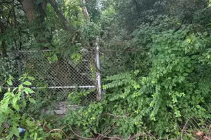 8817 Danbury St, Philadelphia, PA 19152 - Photo 9