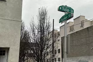 2637 Tulip and 2634-36 Agate Street St, Philadelphia, PA 19125 - Photo 3