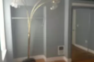 814 W Birch St, Philadelphia, PA 19133 - Photo 17