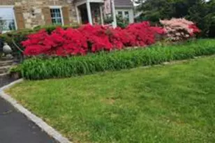 100 Overhill Ave, Philadelphia, PA 19116 - Photo 3