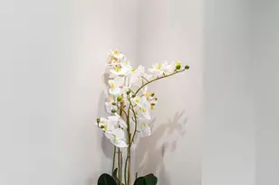 444 Poplar St, Philadelphia, PA 19123 - Photo 25