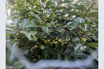 [Address not provided], Philadelphia, PA 19145 - Photo 7