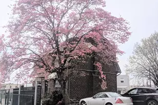 [Address not provided], Philadelphia, PA 19145 - Photo 5