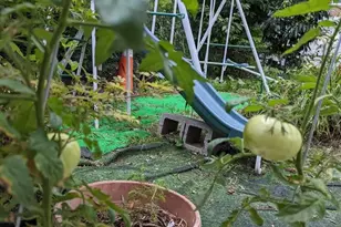 [Address not provided], Philadelphia, PA 19145 - Photo 9