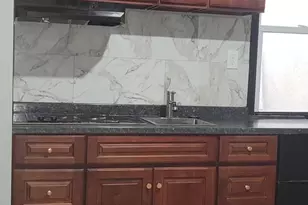 429 W Ashdale St, Philadelphia, PA 19120 - Photo 9