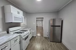 259 W Ruscomb St, Philadelphia, PA 19120 - Photo 11